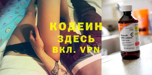 винт Вяземский