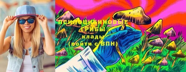 молекула духа Вязьма