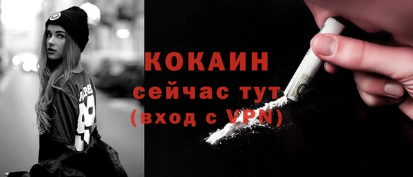 молекула духа Вязьма
