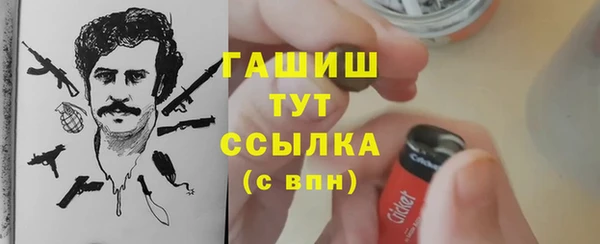 молекула духа Вязьма