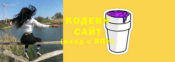 винт Вяземский