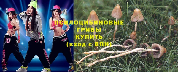 дурь Вязники