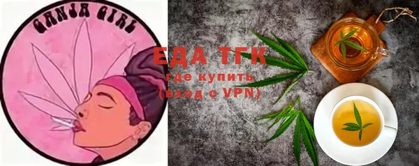 молекула духа Вязьма