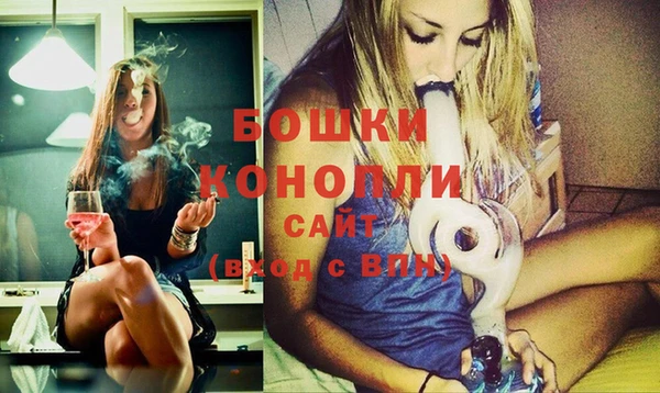 молекула духа Вязьма