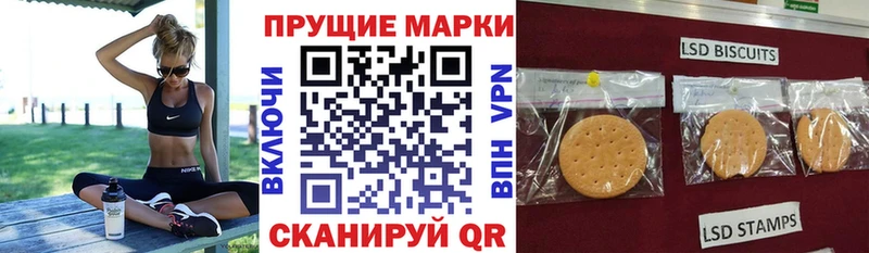 shop официальный сайт  Камень-на-Оби  Марки N-bome 1,5мг  МЕГА зеркало 