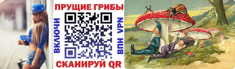 купить наркотик  Камень-на-Оби  darknet какой сайт  Галлюциногенные грибы Cubensis 